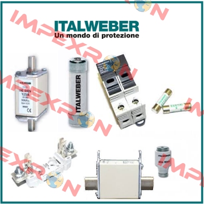 0310100  Italweber