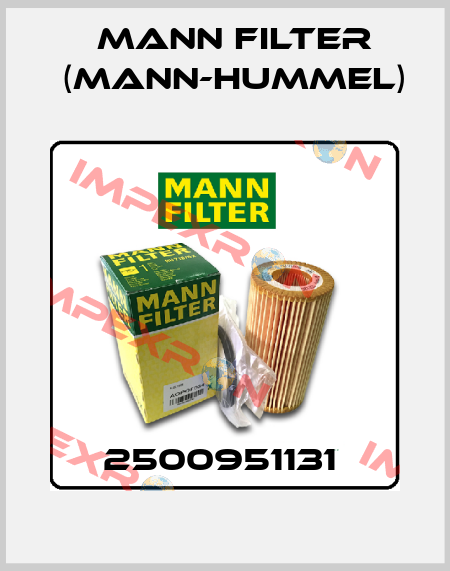 2500951131  Mann Filter (Mann-Hummel)