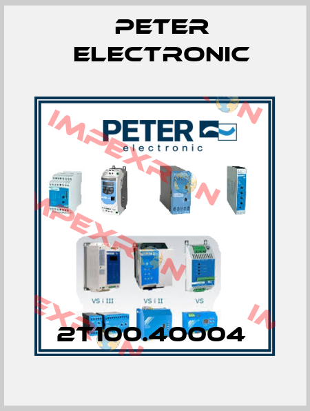 2T100.40004  Peter Electronic