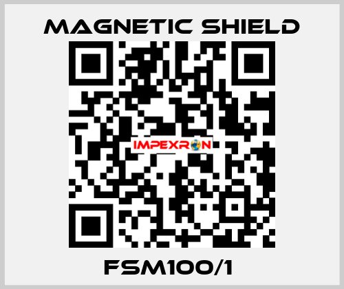 FSM100/1  Magnetic Shield