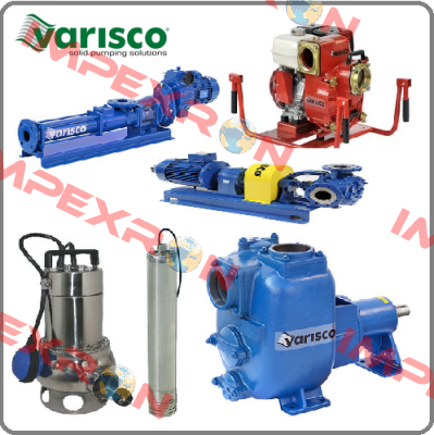 10010397 Varisco pumps