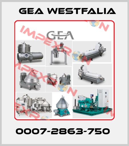 0007-2863-750  Gea Westfalia