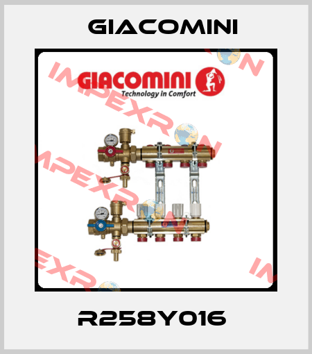 R258Y016  Giacomini