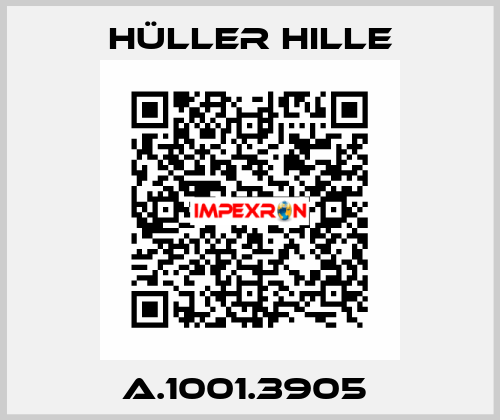 A.1001.3905  Hüller Hille