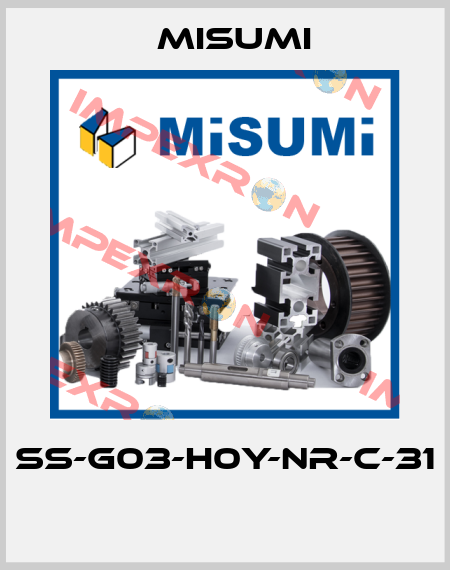 SS-G03-H0Y-NR-C-31  Misumi