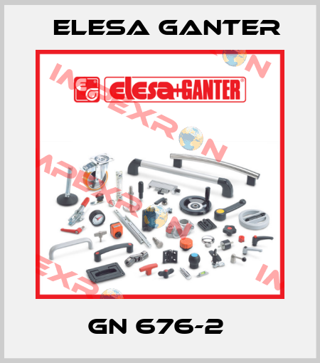 GN 676-2  Elesa Ganter