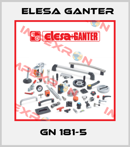 GN 181-5  Elesa Ganter