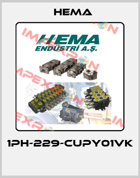 1PH-229-CUPY01VK  Hema