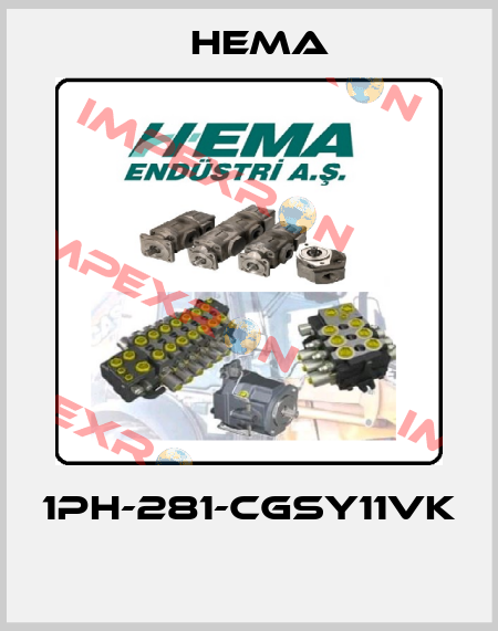 1PH-281-CGSY11VK  Hema