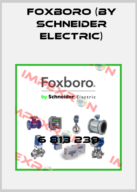6 813 239 Foxboro (by Schneider Electric)