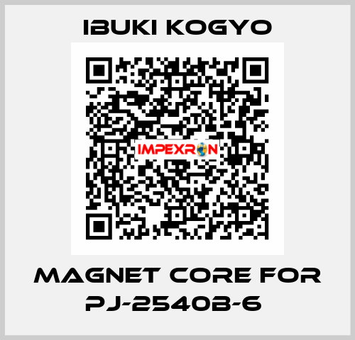 MAGNET CORE for PJ-2540B-6  IBUKI KOGYO