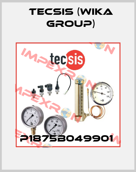 P1875B049901  Tecsis (WIKA Group)