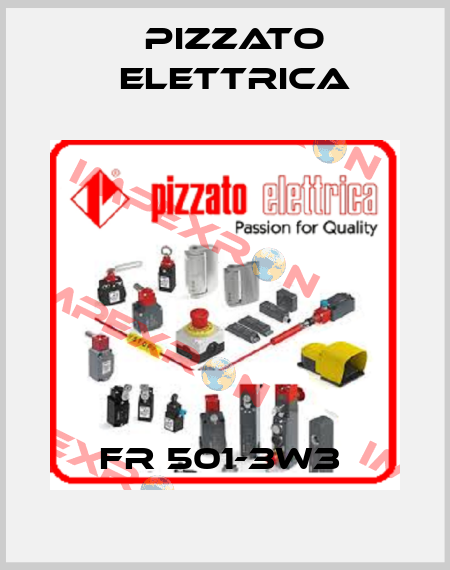 FR 501-3W3  Pizzato Elettrica