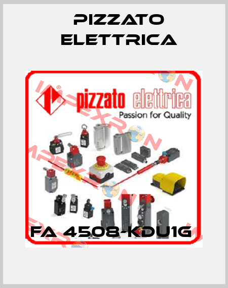 FA 4508-KDU1G  Pizzato Elettrica