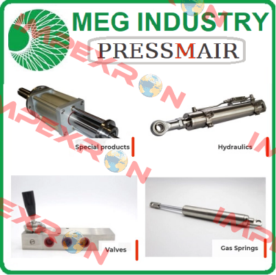 E3 V 1A 1/4" M 220 V AC  Meg Industry (Pressmair)