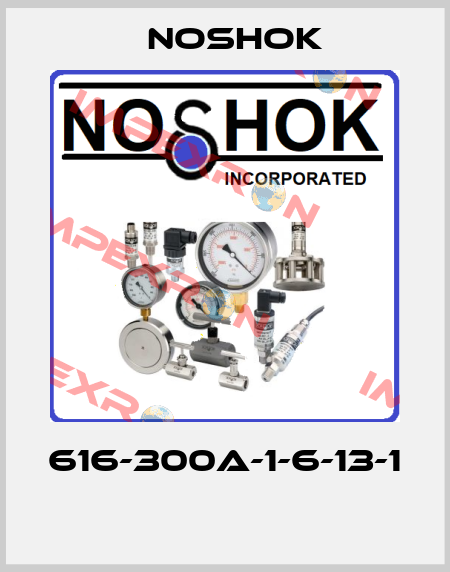 616-300A-1-6-13-1  Noshok