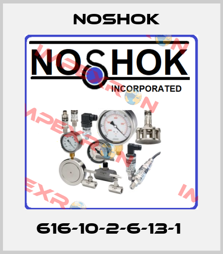 616-10-2-6-13-1  Noshok
