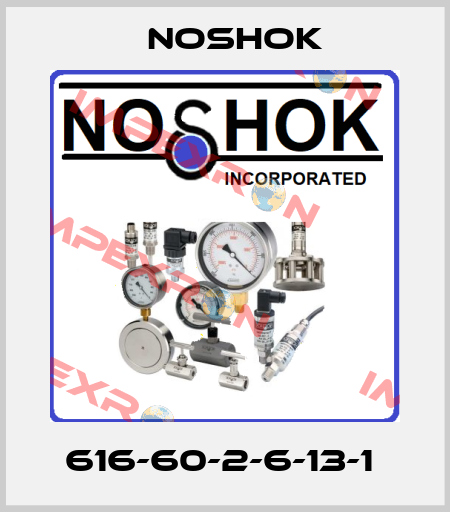 616-60-2-6-13-1  Noshok