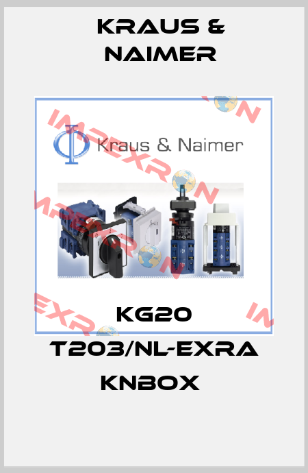 KG20 T203/NL-EXRA KNBOX  Kraus & Naimer