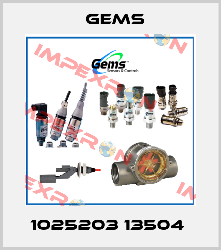 1025203 13504  Gems