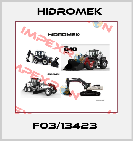 F03/13423  Hidromek