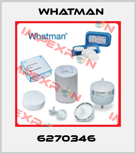 6270346  Whatman