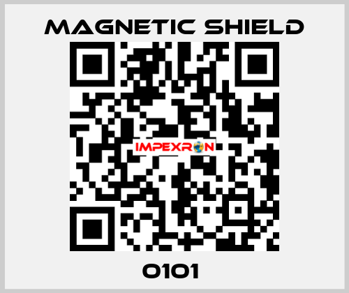 0101  Magnetic Shield