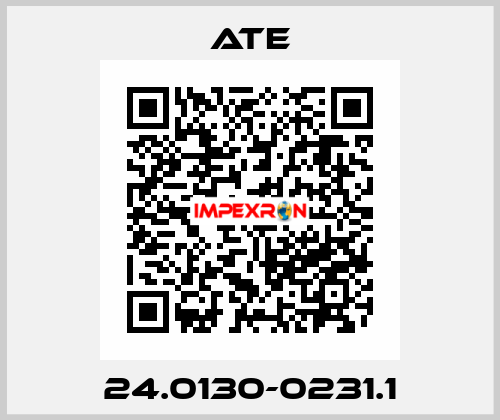 24.0130-0231.1 Ate