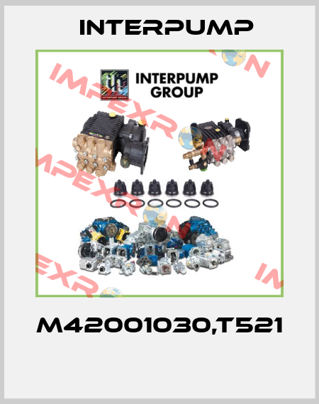 M42001030,T521  Interpump