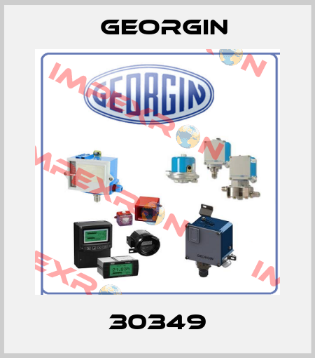 30349 Georgin