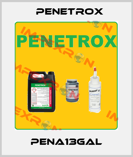PENA13GAL Penetrox