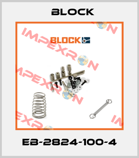 EB-2824-100-4 Block