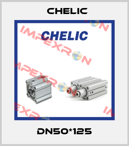 DN50*125 Chelic