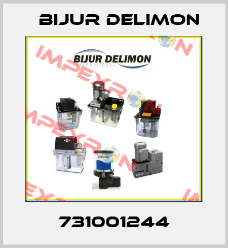 731001244 Bijur Delimon