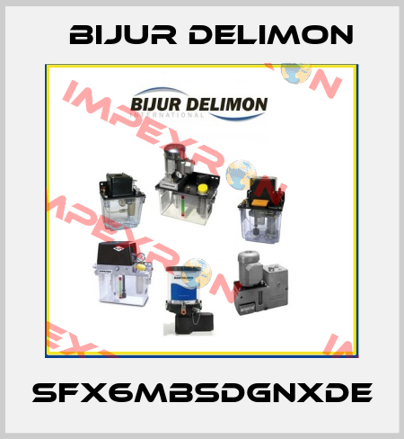 SFX6MBSDGNXDE Bijur Delimon