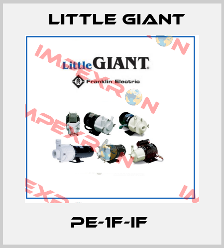PE-1F-IF  Little Giant