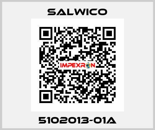 5102013-01A Salwico
