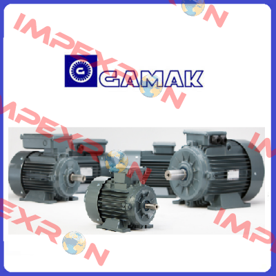 AGM2E100L40 old code/new code AGM2E100L4B B35 flanged Gamak