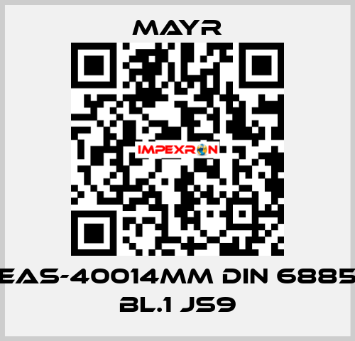 EAS-40014MM DIN 6885 BL.1 JS9 Mayr