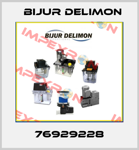 76929228 Bijur Delimon