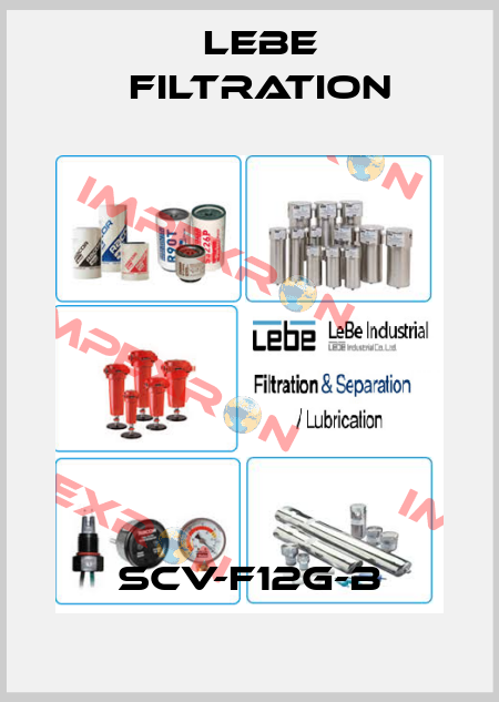 SCV-F12G-B Lebe Filtration