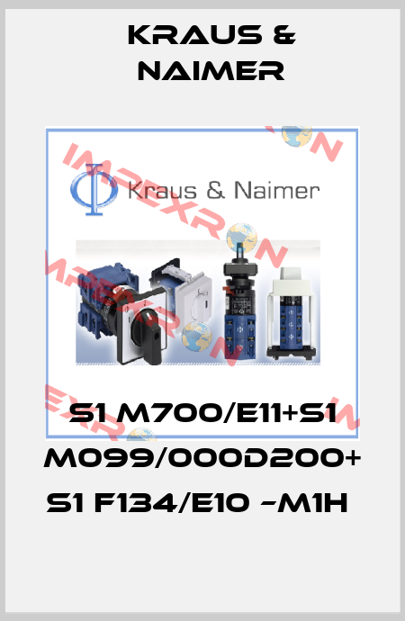 S1 M700/E11+S1 M099/000D200+ S1 F134/E10 –M1H  Kraus & Naimer