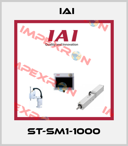ST-SM1-1000 IAI