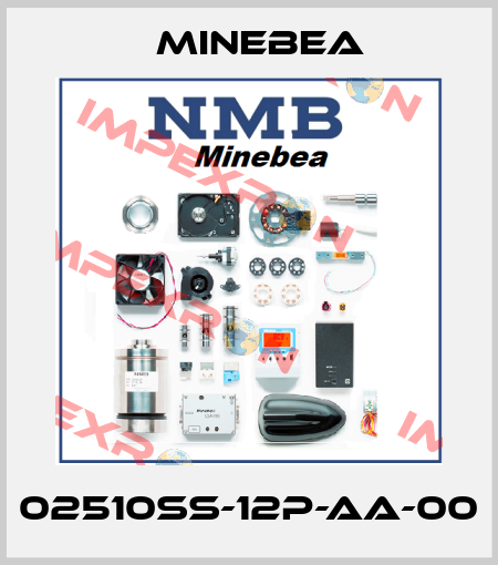 02510SS-12P-AA-00 Minebea