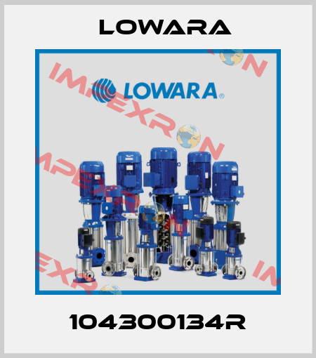104300134R Lowara
