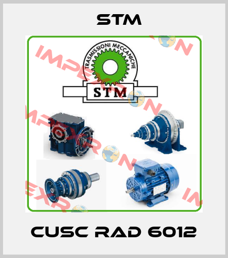 CUSC RAD 6012 Stm