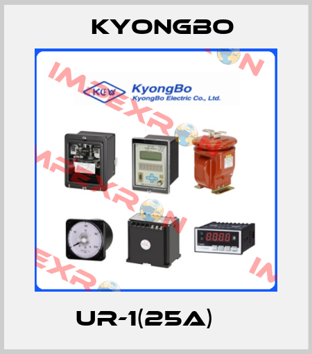 UR-1(25A)    Kyongbo