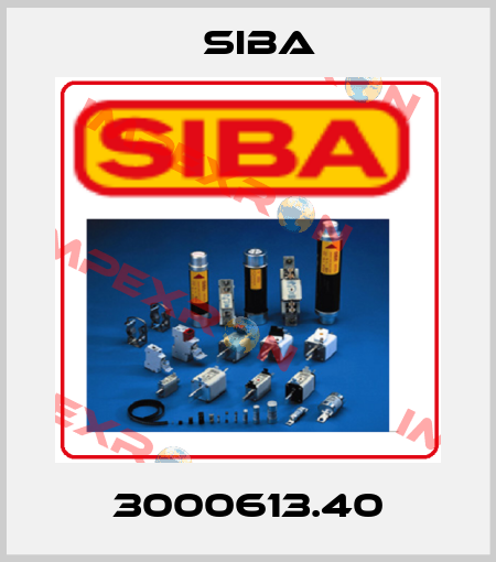 3000613.40 Siba