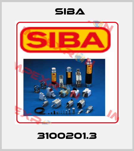 3100201.3 Siba