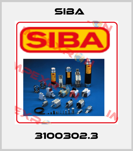 3100302.3 Siba